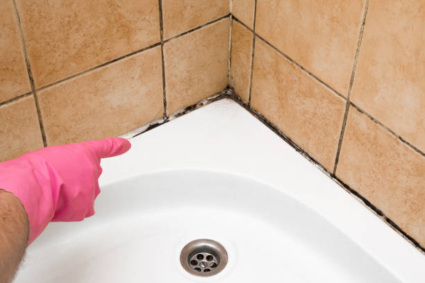 Best Industrial Mold Remediation in Fort Pierre, SD
